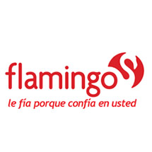Flamingo | American Consulting