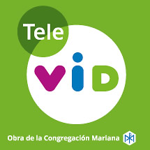 TeleVID | American Consulting